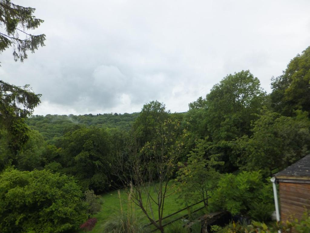 Bed and Breakfast Shrubdown Freshford Экстерьер фото